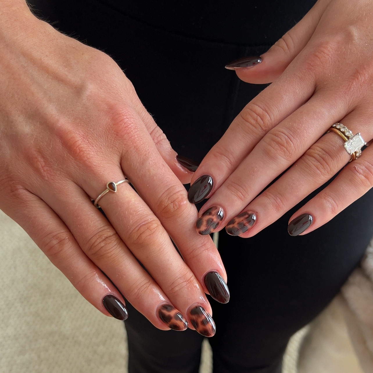 Tortoise Shell Tutorial